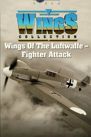 Wings of the Luftwaffe: 