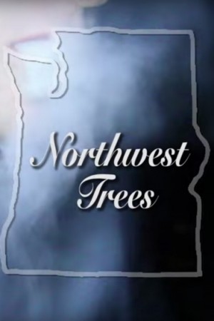 Marijuana - Northwest Trees