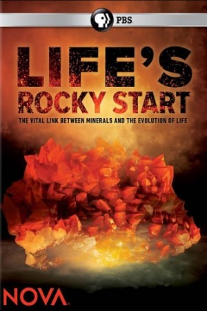 Lifes Rocky Start
