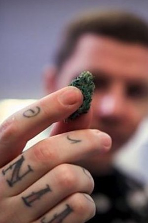 Professor Green: Is It Time to Legalise Weed?