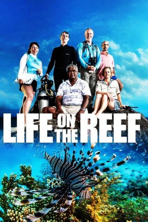 Life on the Reef: Summer