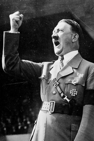 Adolf Hitler - Nazi rise to power