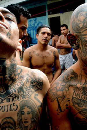 MS13 - The World's Most Dangerous Gang