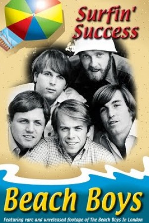 Beach Boys - Surfin Success