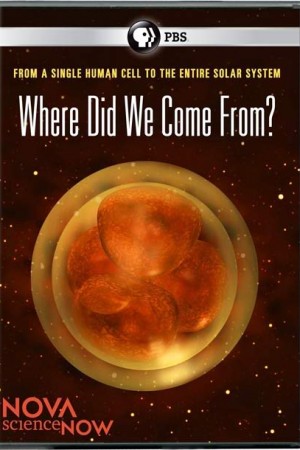 ScienceNow: Where Did We Come From?
