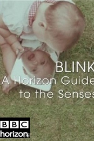 Blink A Horizon Guide to the Senses