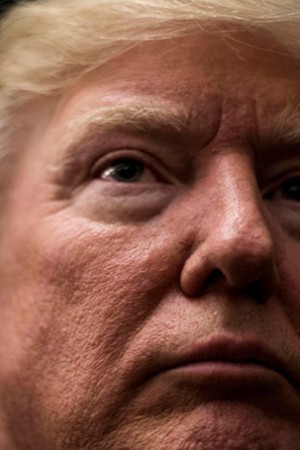 The Fire Breather: Donald Trump