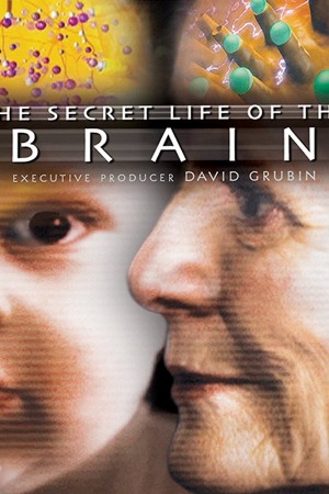 Secret Life of the Brain
