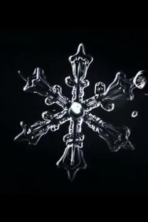 Forces of Nature with Brian Cox: The Universe in a Snowflake 