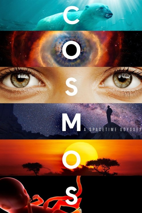 Cosmos: A Spacetime Odyssey - Neil DeGrasse Tyson