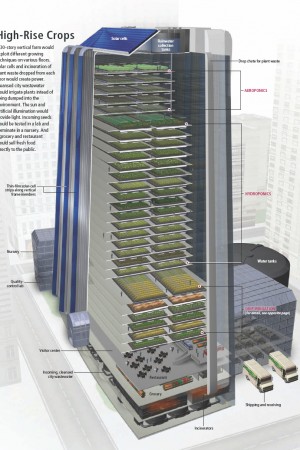 The Rise of Vertical Farming